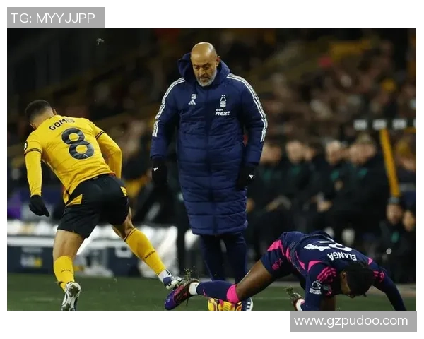 卢卡库闪耀，扎克尔变身！阿尔及利亚非洲杯零封奇迹，谁是下一个黑马？